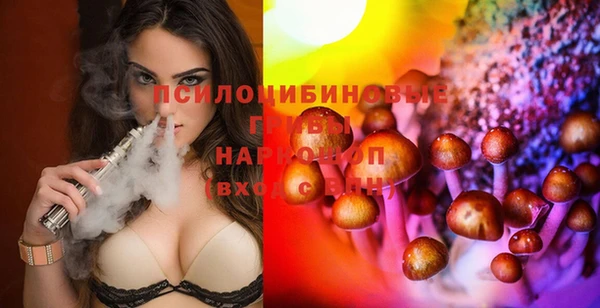 сатива Балабаново