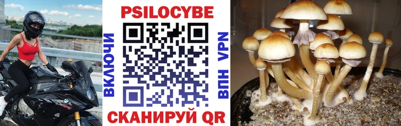 Псилоцибиновые грибы Psilocybe  закладки  нарко площадка наркотические препараты  Лангепас 